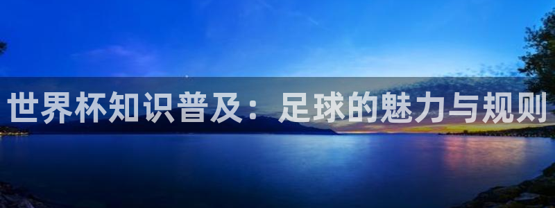 世界杯 赛程：世界杯知识普及：足球的魅力与规则