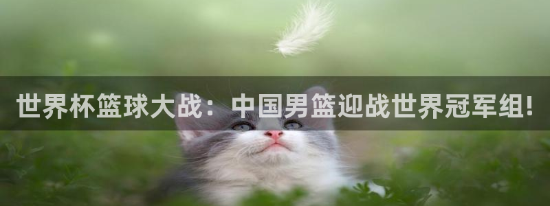 2026足球世界杯赛程时间表：世界杯篮球大战：中国男篮迎战世界冠军组!
