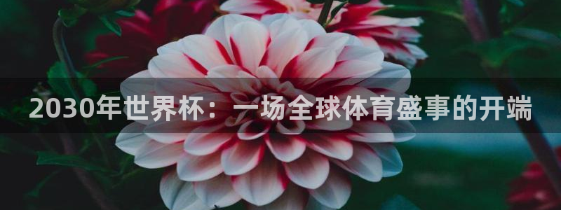 世界杯直播在线观看入口：2030年世界杯：一场全球体育盛事的开端