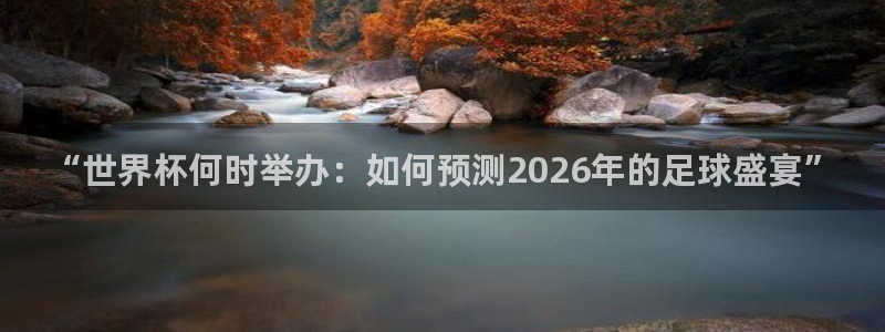 世界杯亚洲区预选赛：“世界杯何时举办：如何预测2026年的足球盛宴”