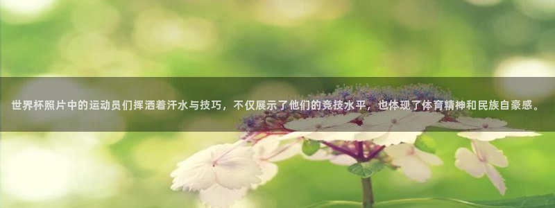世界杯今年：世界杯照片中的运动员们挥洒着汗水与技巧，不仅展示了他们的竞技水平，也体现了体育精神和民族自豪感。