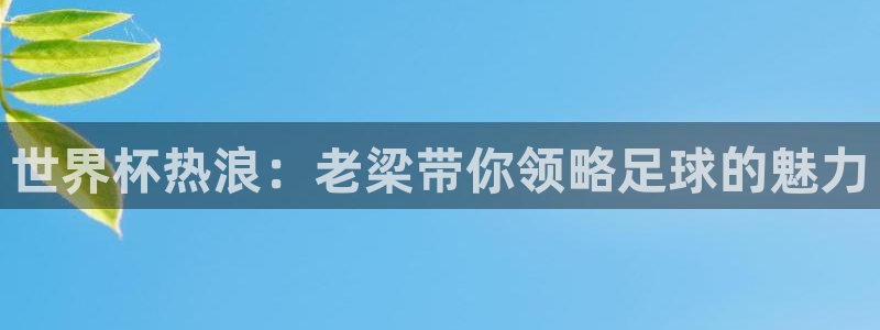 世界杯足球赛：世界杯热浪：老梁带你领略足球的魅力