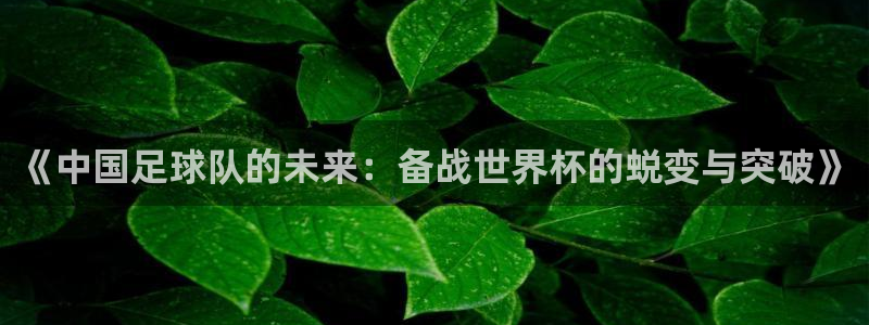 美洲杯直播：《中国足球队的未来：备战世界杯的蜕变与突破》