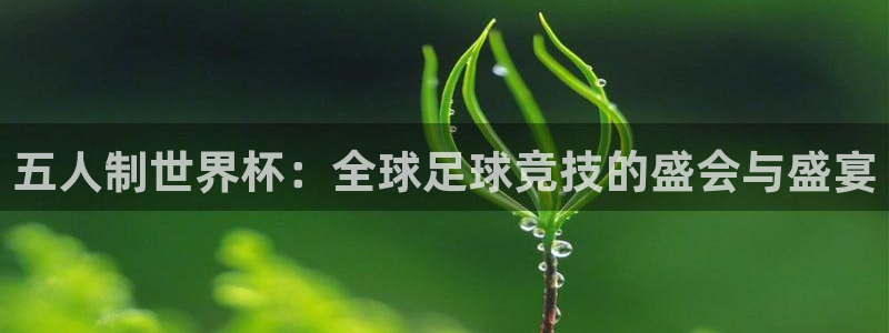 世界杯预选赛赛程：五人制世界杯：全球足球竞技的盛会与盛宴