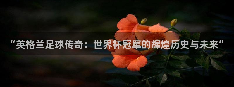 世界杯亚洲区预选赛赛程表：“英格兰足球传奇：世界杯冠军的辉煌历史与未来”