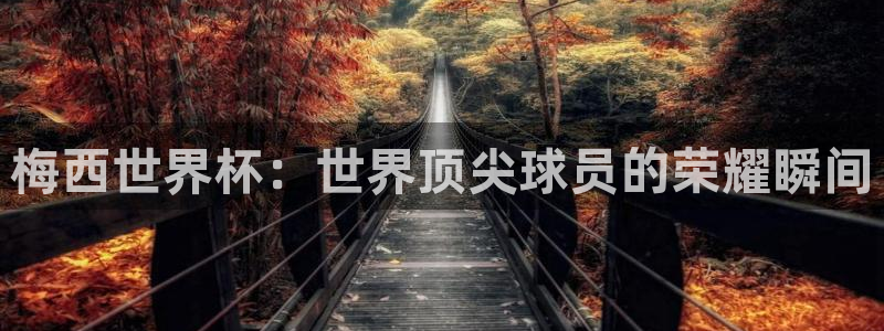 世界杯足球直播：梅西世界杯：世界顶尖球员的荣耀瞬间