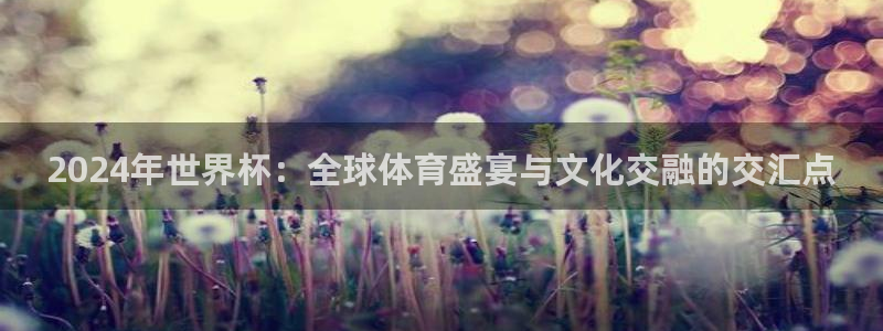欧联杯直播：2024年世界杯：全球体育盛宴与文化交融的交汇点